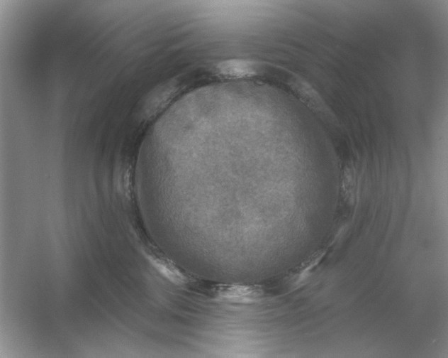 X0000053120330200507251730