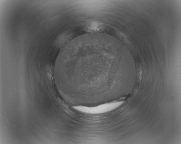 X0000053120331200507251730