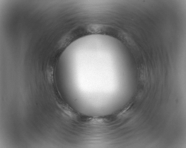 X0000053120332200507251730