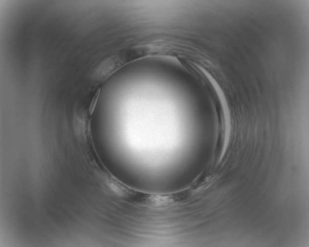 X0000053120333200507251730