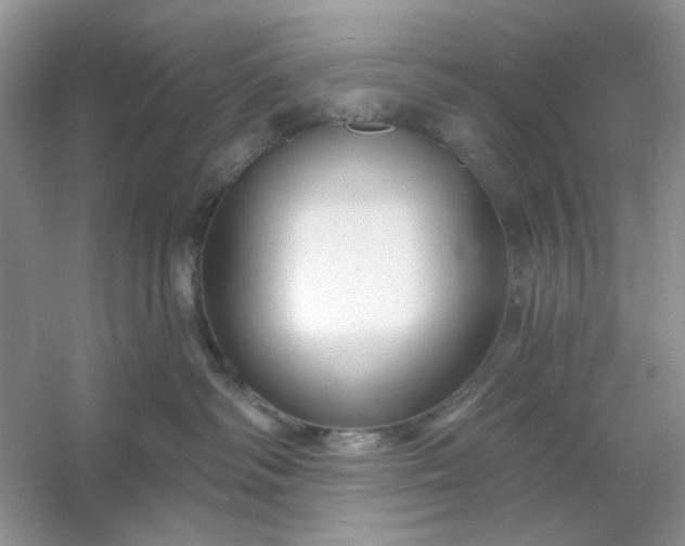 X0000053120334200507251730