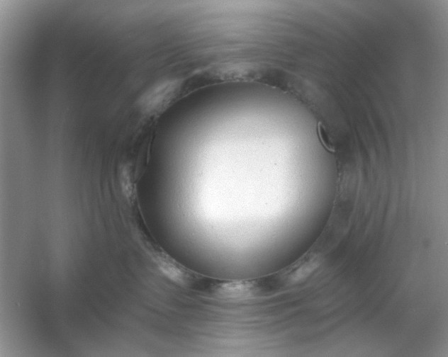 X0000053120335200507251730