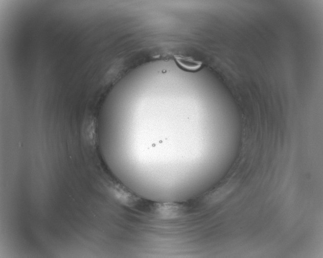 X0000053120336200507251730