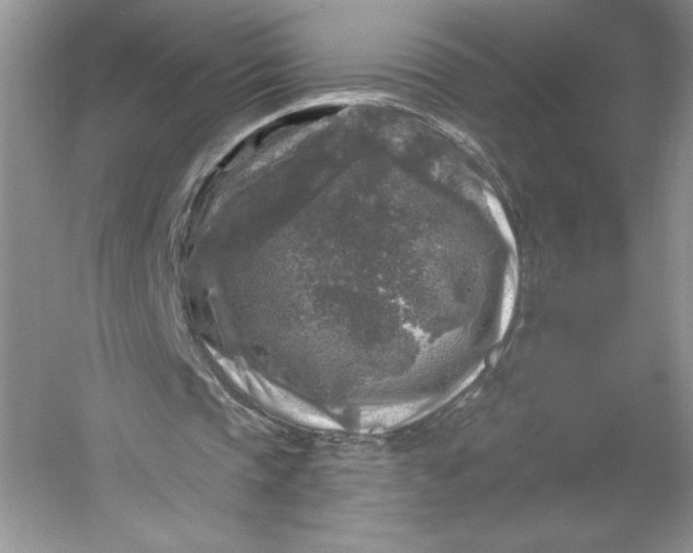 X0000053120337200507251729