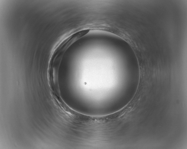 X0000053120340200507251729