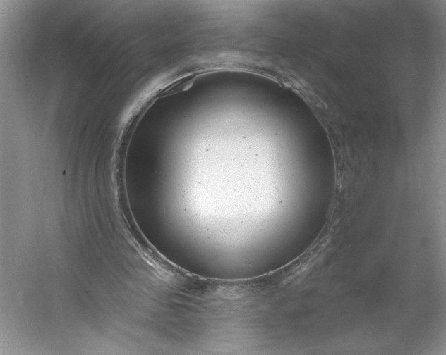 X0000053120341200507251729