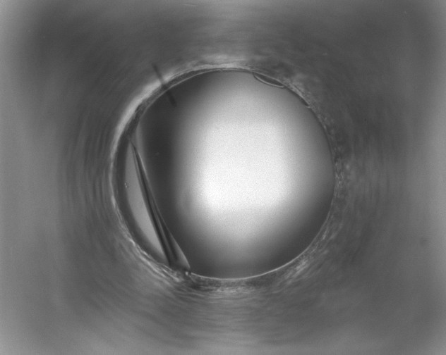 X0000053120342200507251729