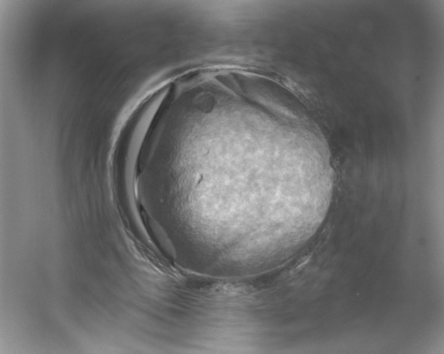 X0000053120343200507251729