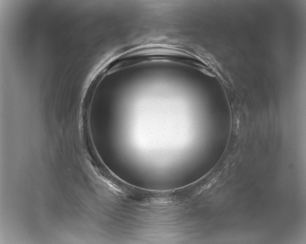 X0000053120344200507251729