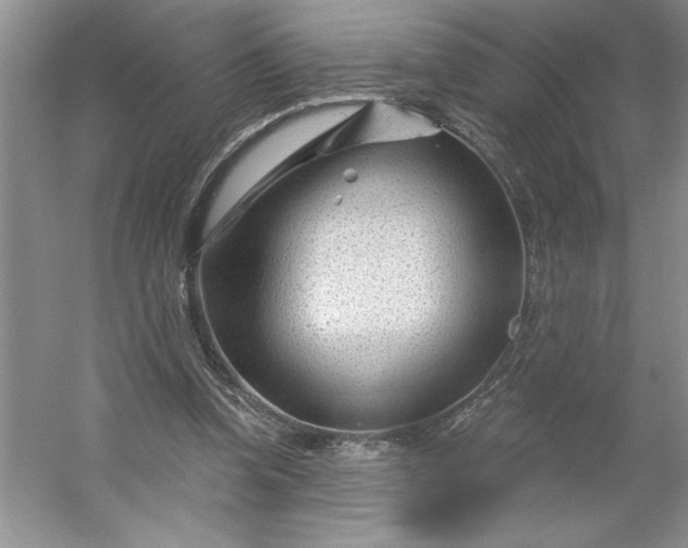 X0000053120346200507251729