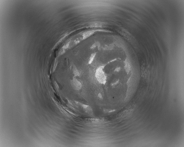 X0000053120347200507251729