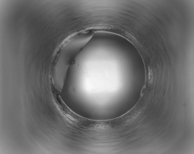 X0000053120348200507251729