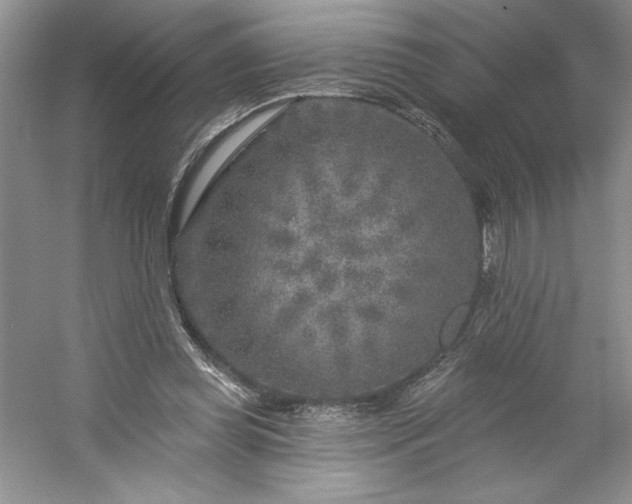 X0000053120349200507251729