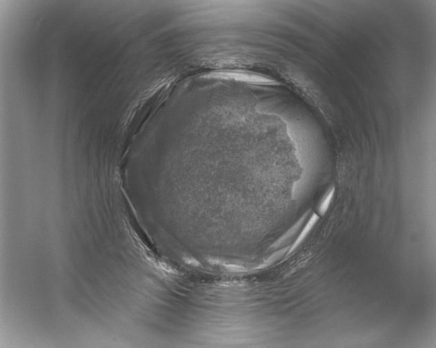 X0000053120353200507251729