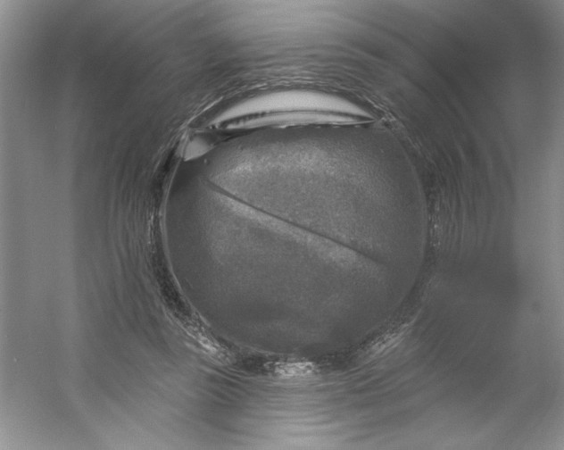 X0000053120355200507251729