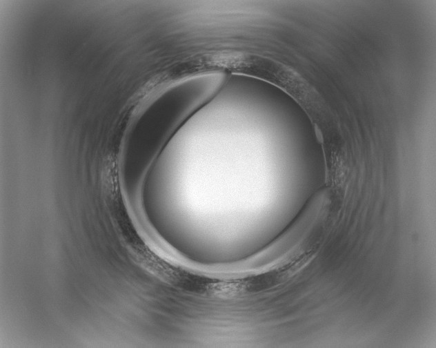 X0000053120356200507251729