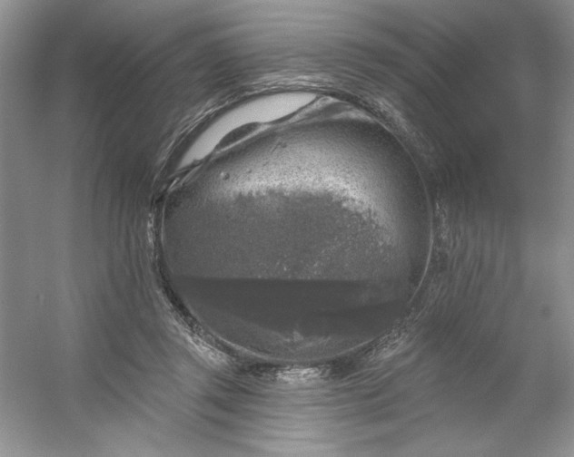 X0000053120357200507251729