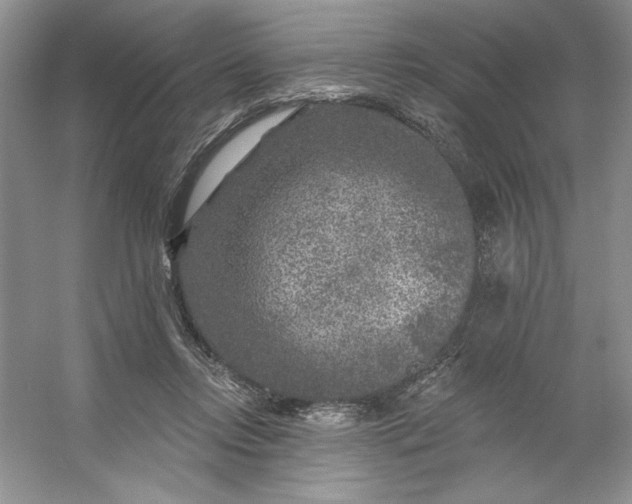 X0000053120358200507251729