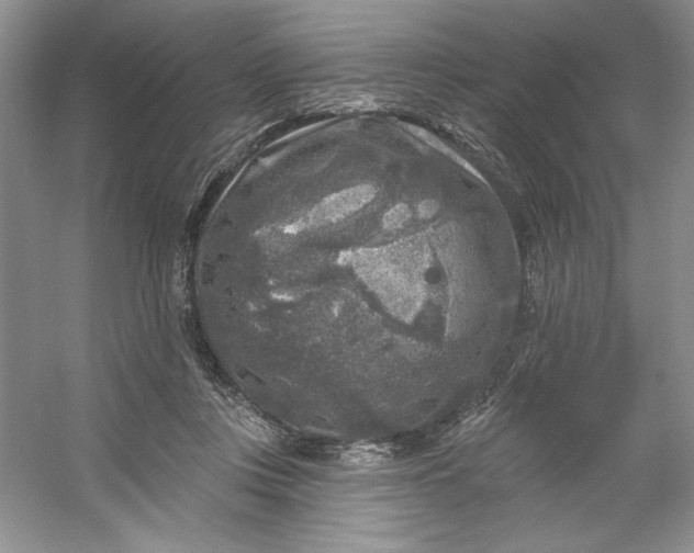 X0000053120359200507251729