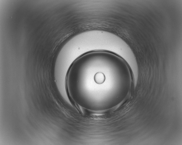 X0000053120360200507251729