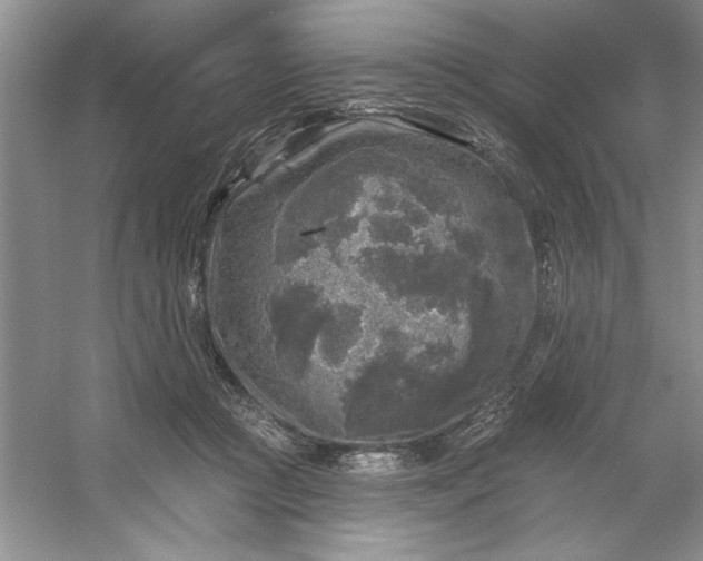 X0000053120361200507251729