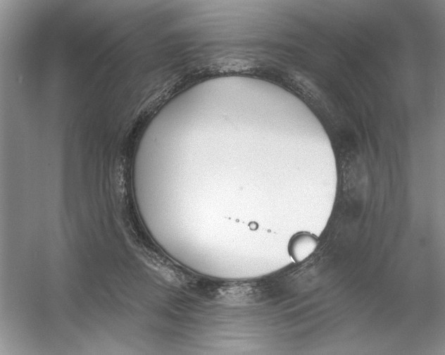 X0000053120362200507251729