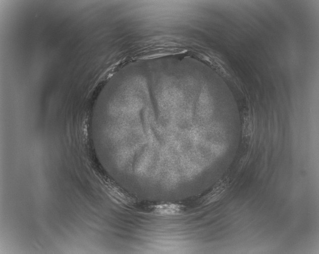 X0000053120363200507251729