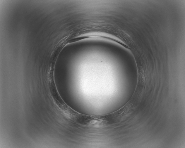 X0000053120364200507251729