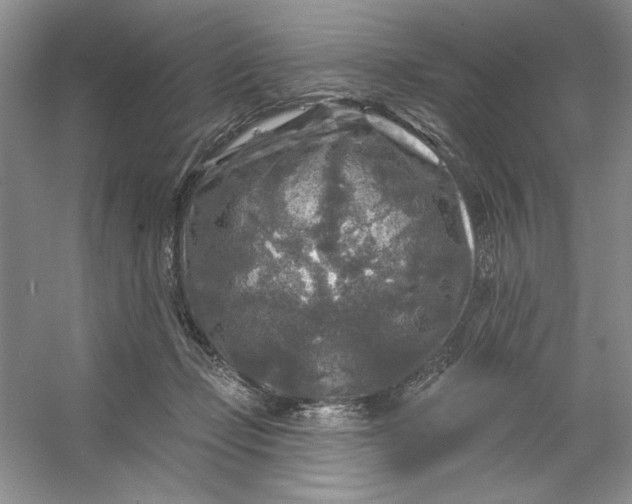 X0000053120365200507251729