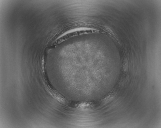 X0000053120366200507251729