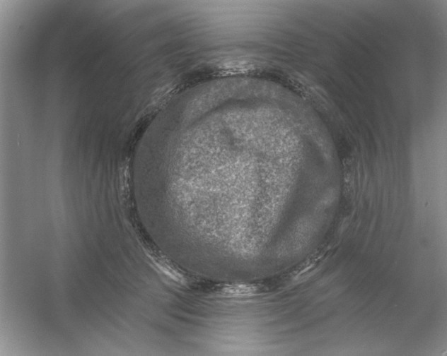 X0000053120369200507251729