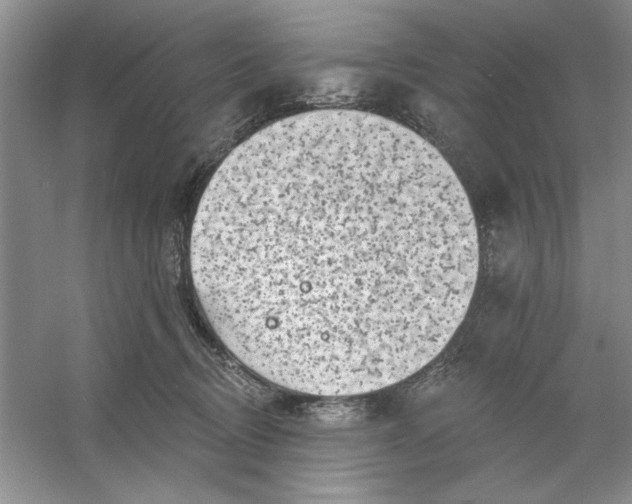 X0000053120370200507251729