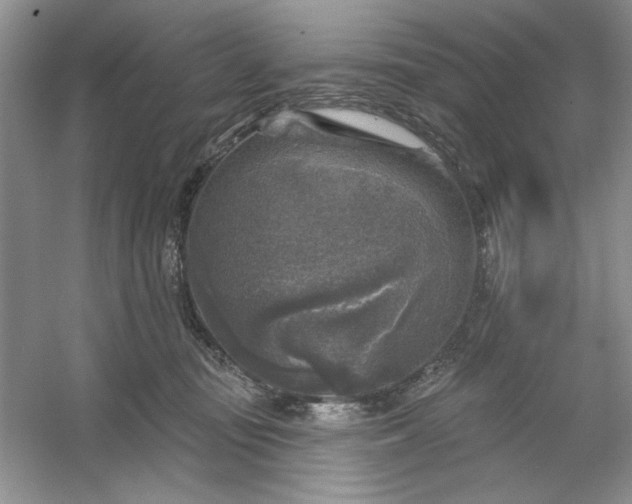 X0000053120371200507251729