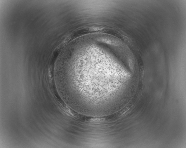 X0000053120373200507251729