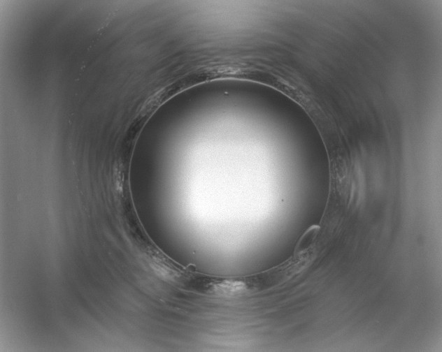 X0000053120374200507251729