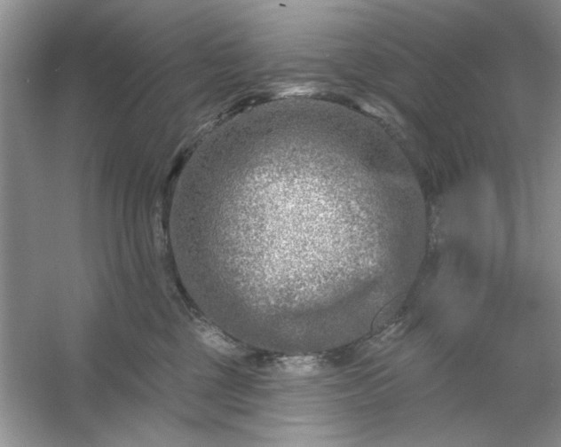 X0000053120377200507251729