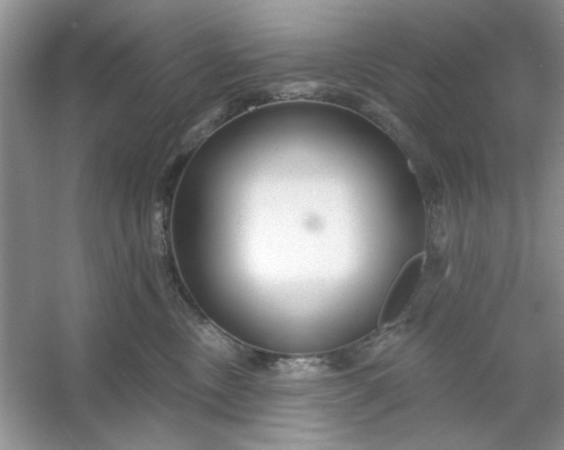 X0000053120378200507251729