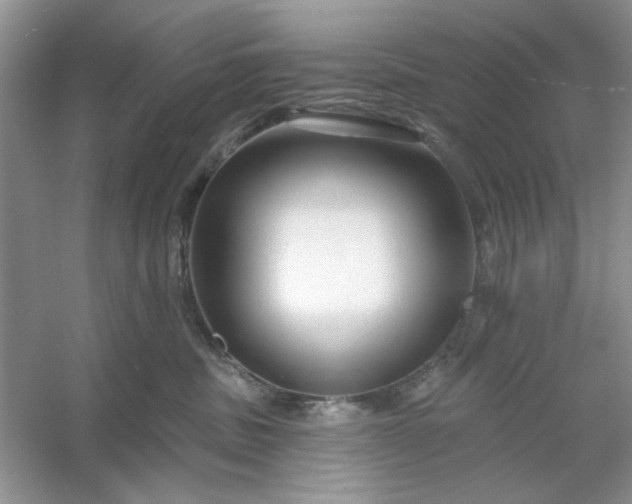 X0000053120379200507251729