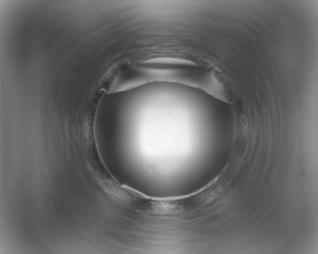 X0000053120380200507251729