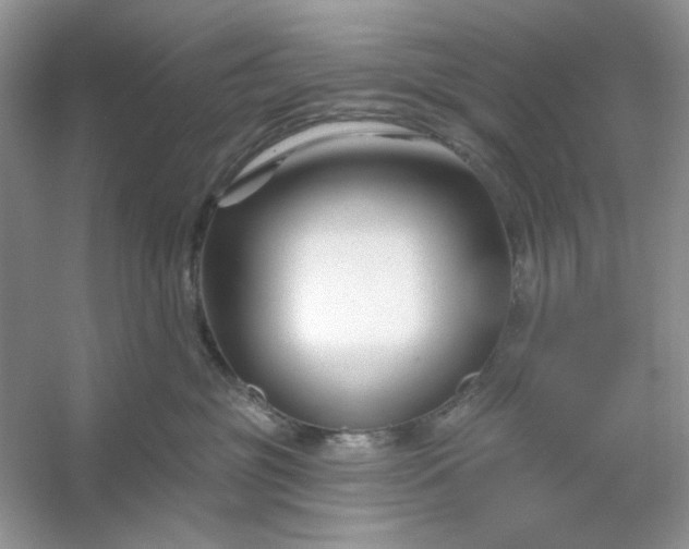 X0000053120381200507251729