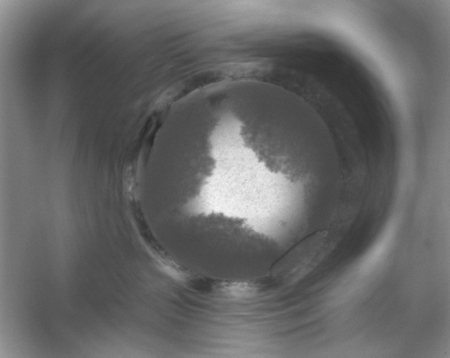 X0000053120383200507251730