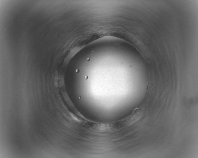 X0000053120384200507251730