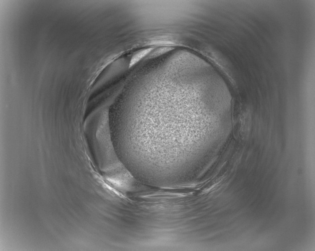 X0000053120385200507251729