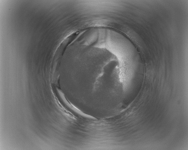 X0000053120386200507251729