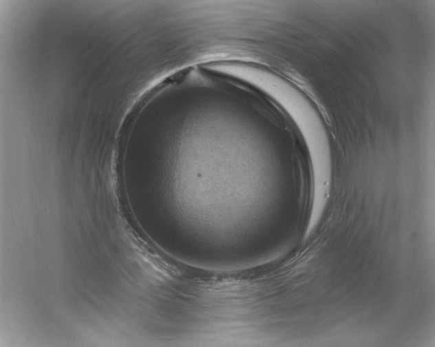 X0000053120387200507251729