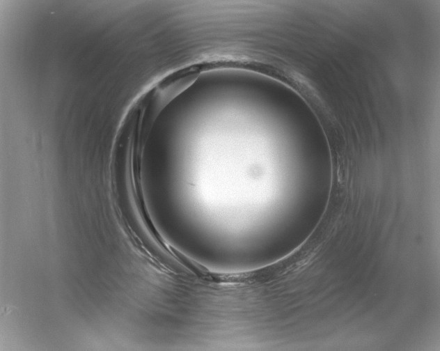 X0000053120388200507251729