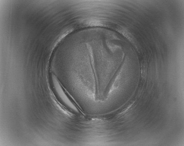 X0000053120390200507251729