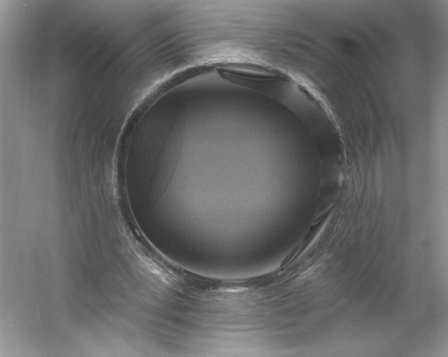 X0000053120391200507251729