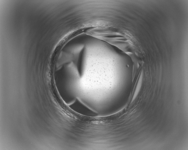 X0000053120392200507251729