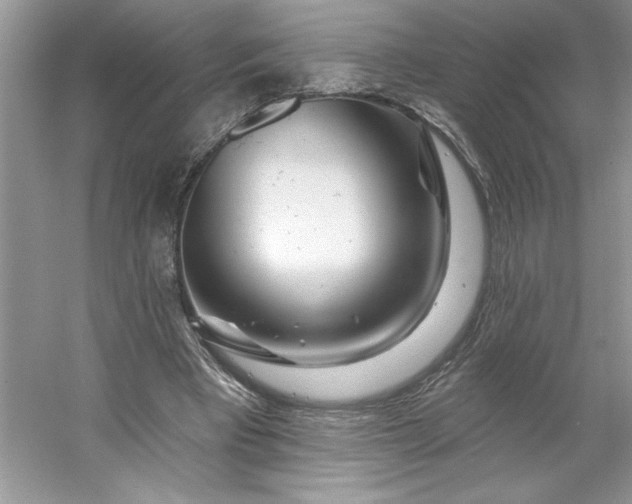 X0000053120393200507251729